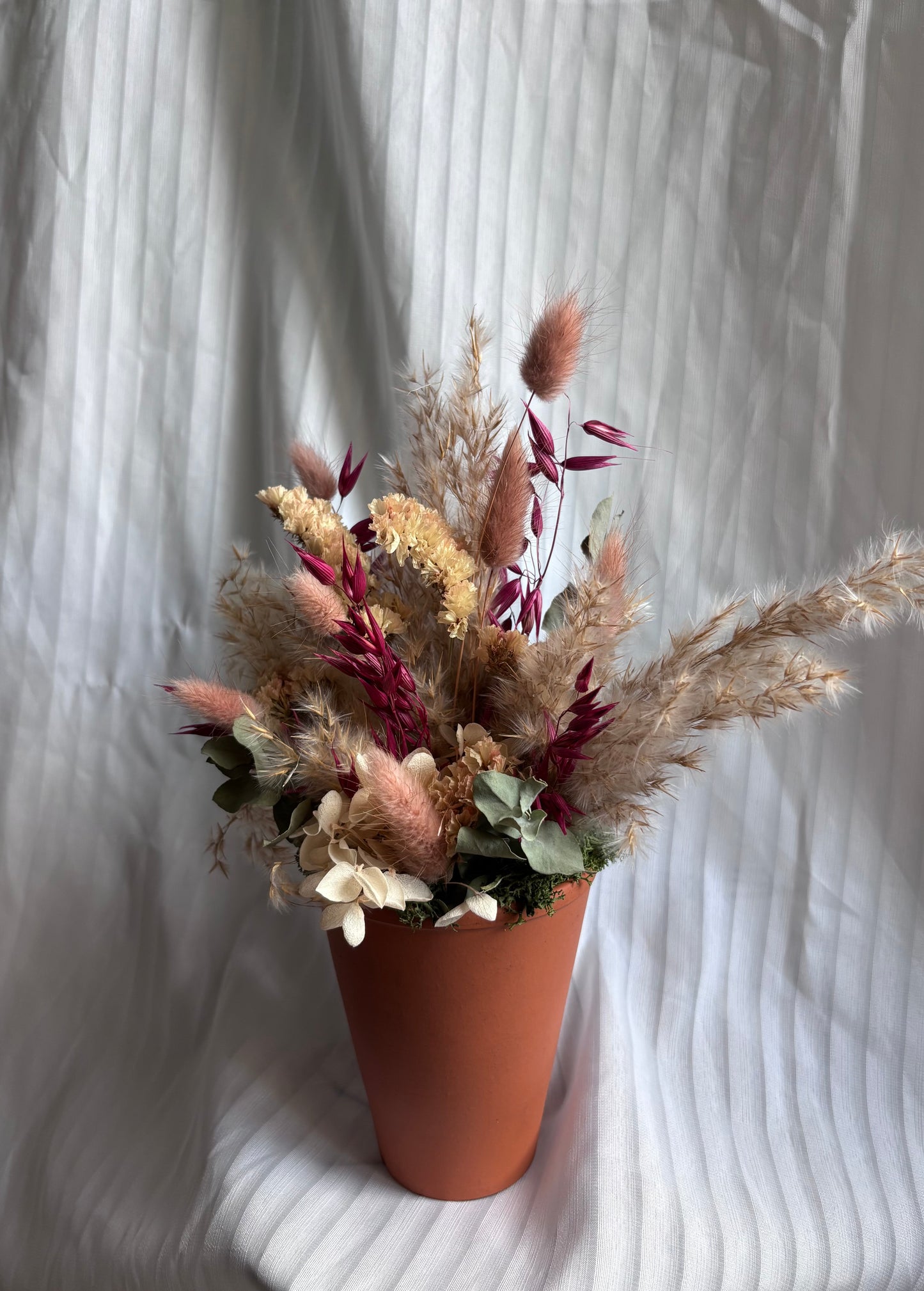 La Piquée « Terra Lumière »